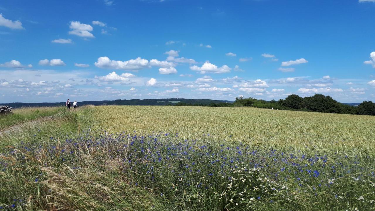 4-Sterne Ferienwohnung Carbach -Perfekt Fuer Radfahrer- บอพพาร์ด ภายนอก รูปภาพ